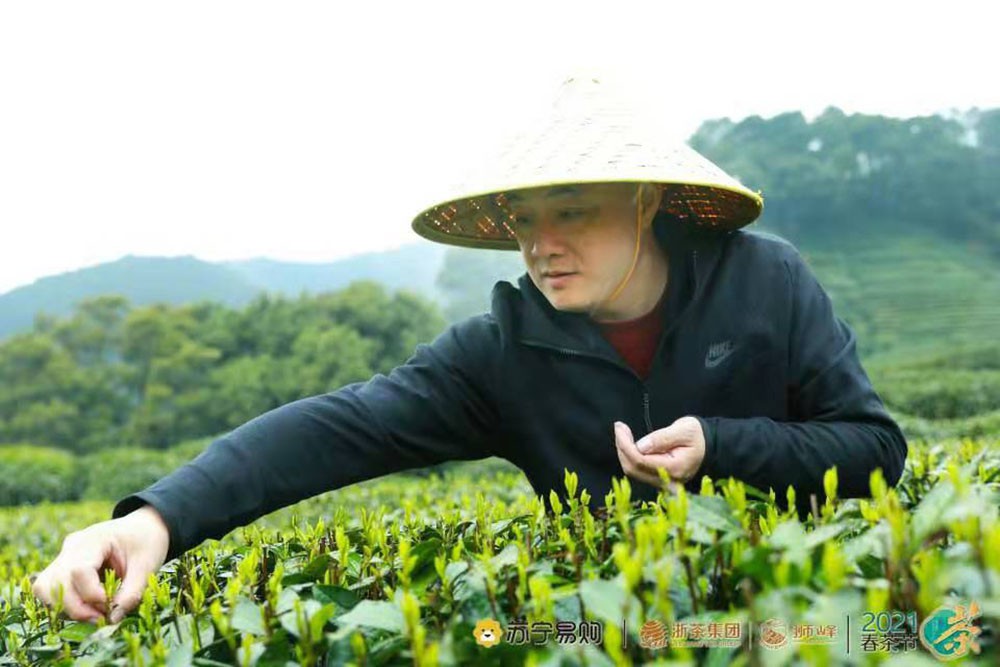 苏宁和浙茶集团签约 品西湖龙井的好去处 苏宁和浙茶集团签约 品西湖龙井的好去处