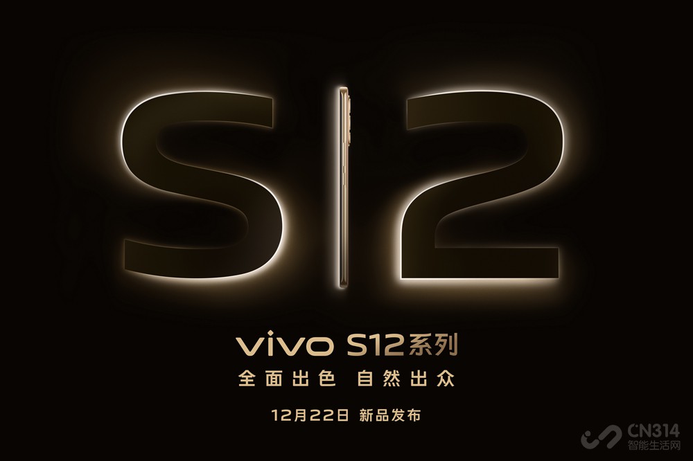 vivo S12ϵбʽ ڴ