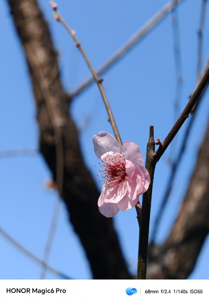 ҫ Magic6 Pro ʹ2ʲô飿