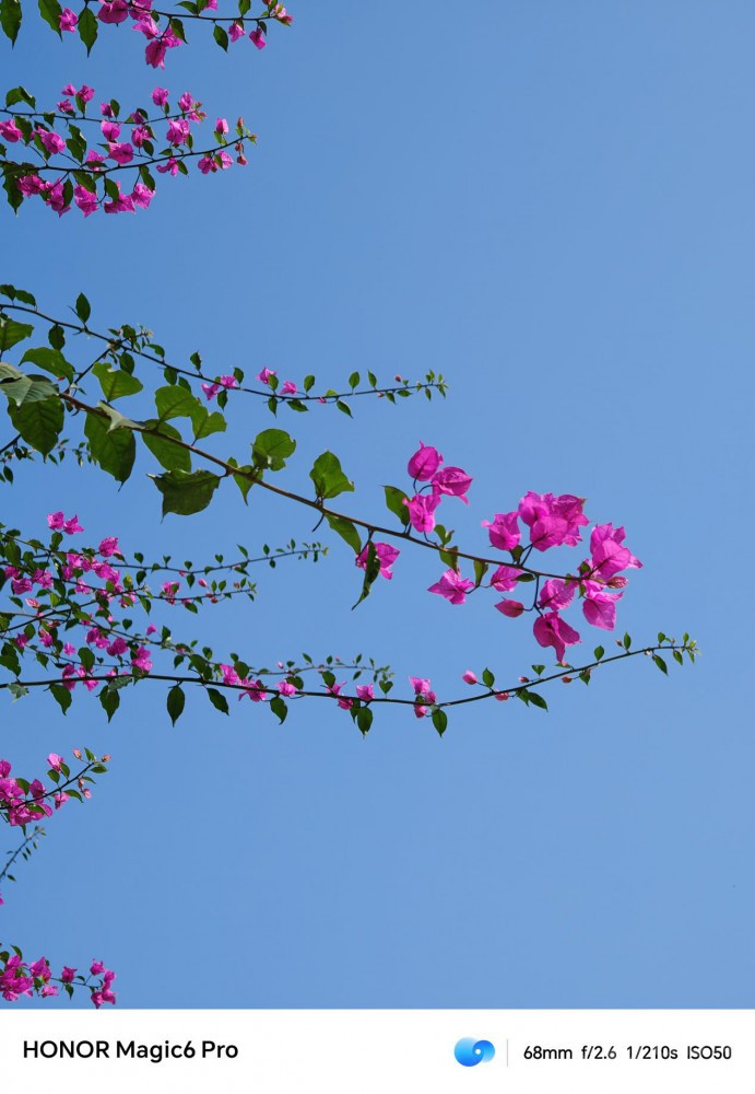 ҫ Magic6 Pro ʹ2ʲô飿
