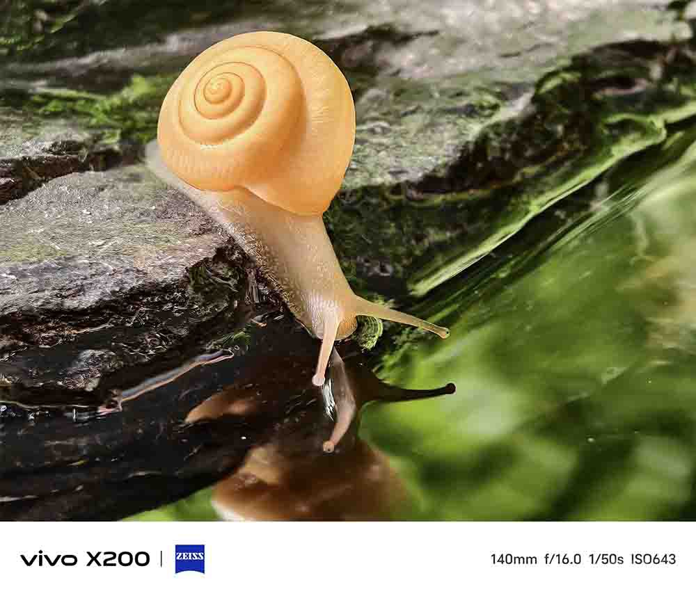 Ӱԡ߽ά vivoX200