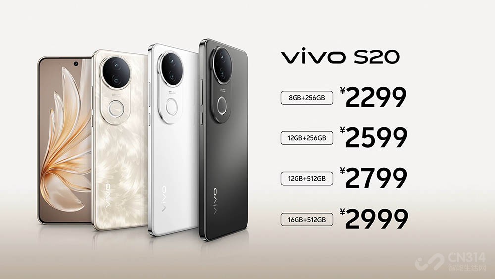 ̫ vivo S20ᱡ콢 ޾