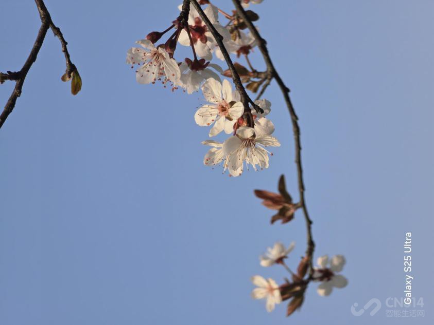 Galaxy S25 Ultra ܰ׿콢ˣ