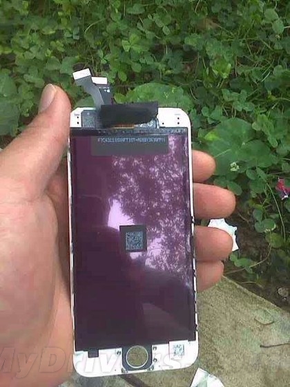 iPhone 6L���ع⣡ƻ������Ҫ����