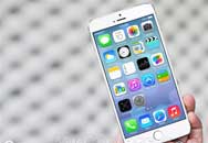 iPhone 6лװ ӪѪƴ