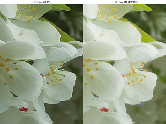 ֧�������ʽ��HTC M9���������˶��٣�