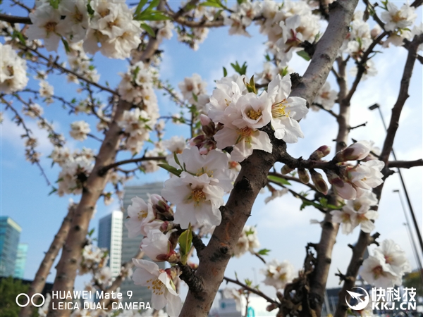 ��һ���⿨˫�㣡��ΪP10���ţ������Ů����