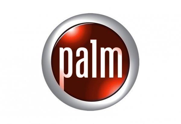 Ӣ��Ҳ�������� Palmʷ��4����д��ʷ��ţ����