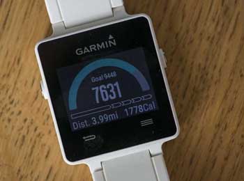 vivoactiveΪ˶ GPS