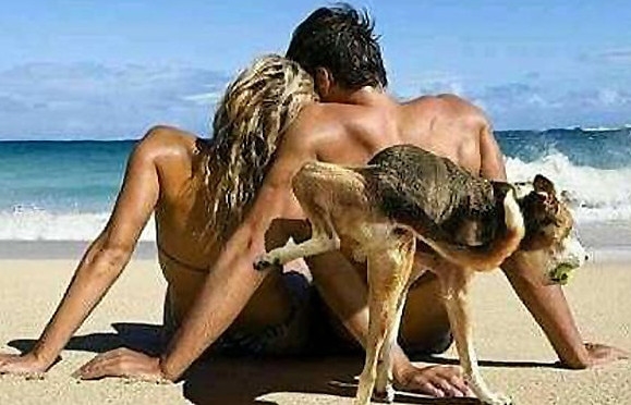 ���������ÿ��ˣ���Ϧ��ԭ���������˽�
