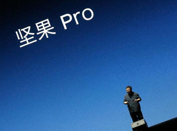 Pro޵ʺʹӵį