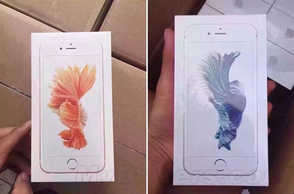 iPhone 6s׼�������ˣ�һ������ع⣺��ˮ