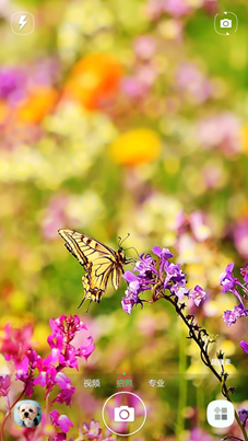 ���ɴ�����ɫ������⣺ ����¼��ƪ497.png