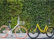 ofo Ħݵ100110Ԫ