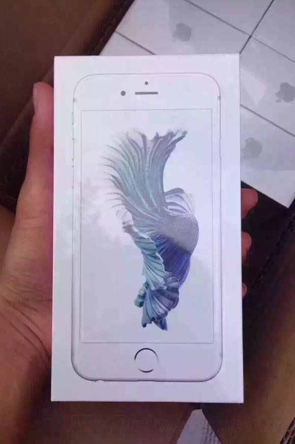 iPhone 6s׼�������ˣ�һ������ع⣺��ˮ
