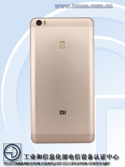 С��Max֤�������أ�������Ȼ������