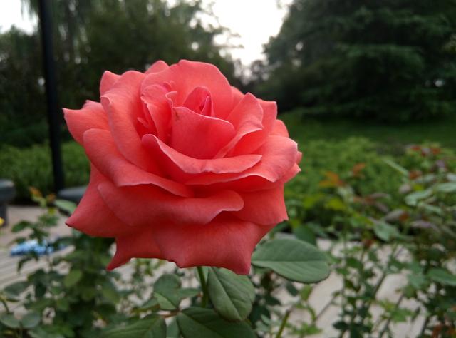 �����ֻ�2���⣺����Note 2������汾