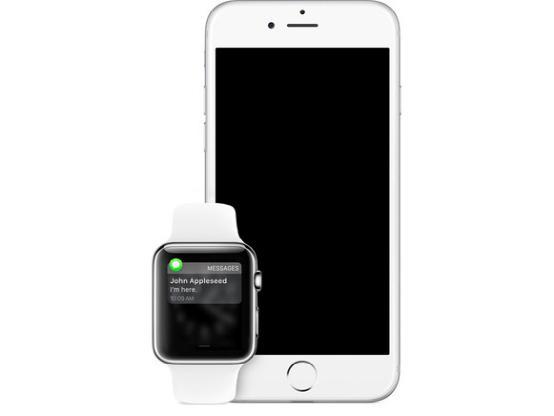 Apple Watch�������ˣ�Home�����ǲ��ɻ�ȱ