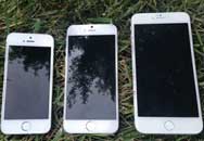 iPhone 6Ļֱ Ʋ