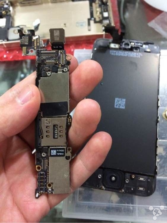 ��Ŀ���ģ���ǿ��С��5c����iPhone 5s