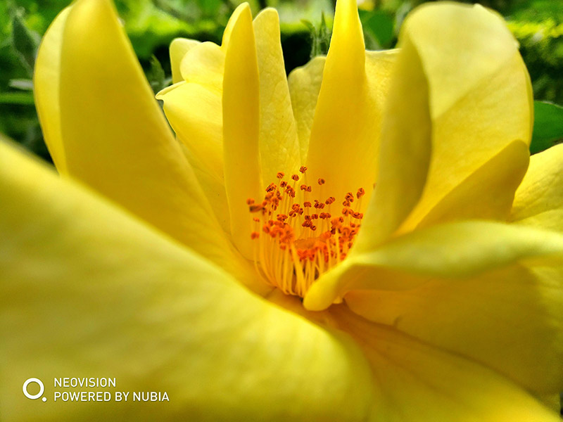 五一出游拍照:努比亚Z17mini为何最出众?