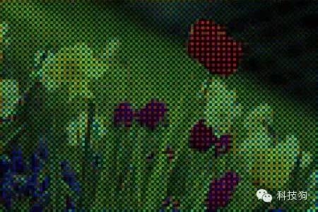 ��ɶ����� ��ΪP9��Ҫװһ�źڰ�����ͷ��