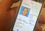 ԣ ҪiPhone