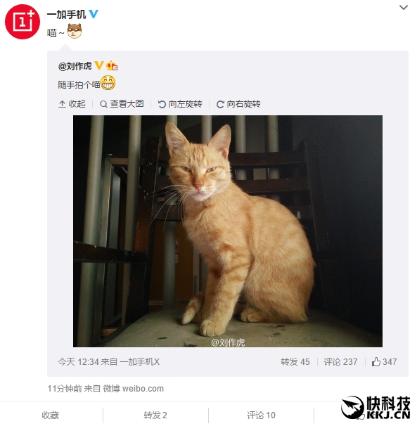 一加新机拍照样张首曝:喵