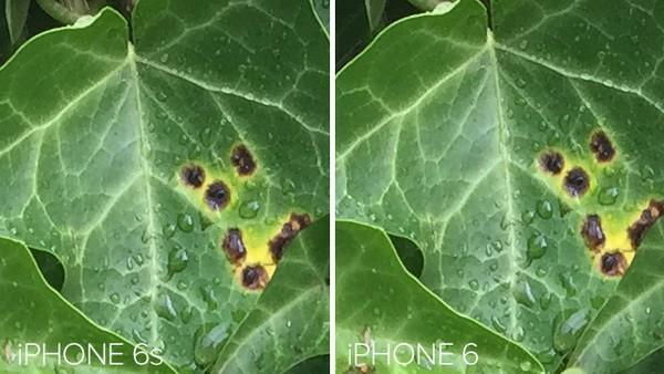 iPhone 6s������������ƶ�����֮��