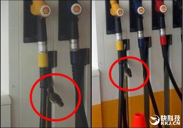 ��.jpg