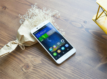 Ϊ5 4000mAh