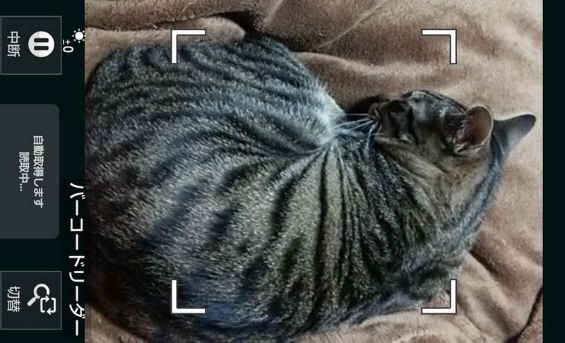 32.jpg