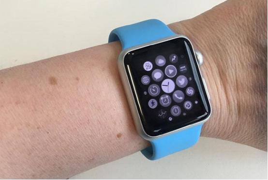 Apple Watchʡ��&ldquo;����&rdquo;���� �־ò��Ҹ�