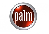 Palmʷ4дʷţ Ӣ۵