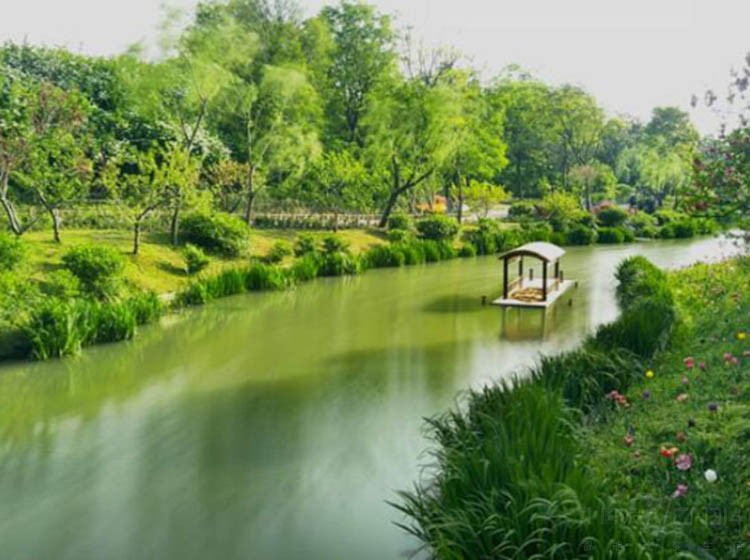 摄影达人来福利 努比亚Z17mini直降200元