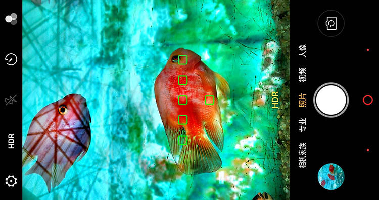 ȫ��С���������10�㿪�� ��ֵ�ؿ��ж�