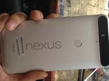 9.29Nexusֻ ܻչ