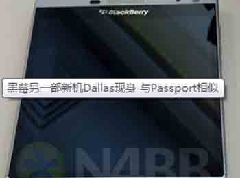 ݮһ»Dallas Passport