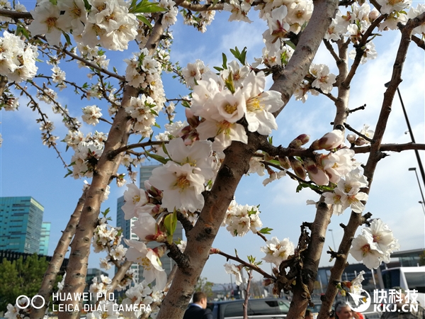 ��һ���⿨˫�㣡��ΪP10���ţ������Ů����