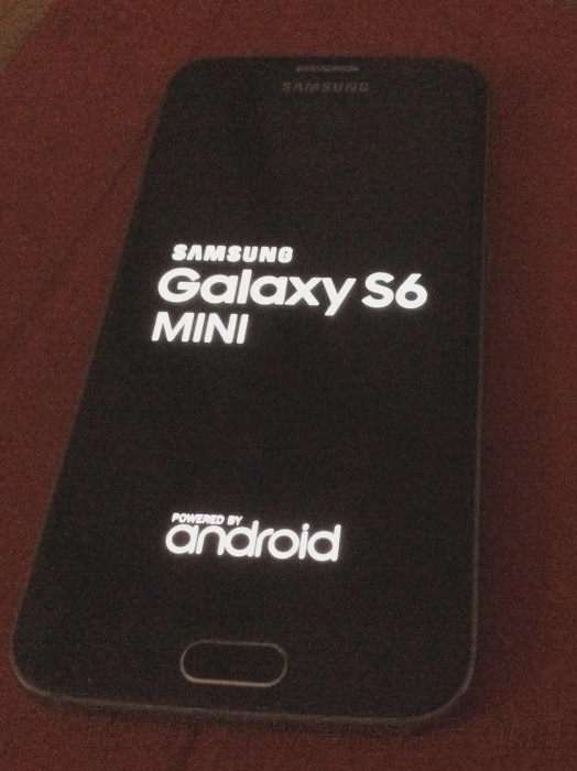 ����Galaxy S6 mini����ع⣺���Ǽ��õģ�