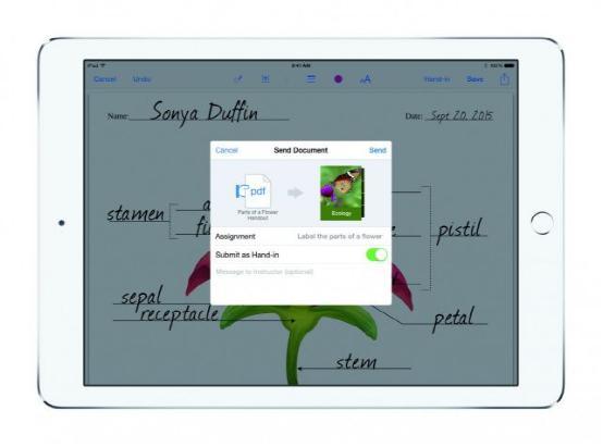 ƻ���������iTunes U ����ѧ��ֱ�ӽ���ҵ