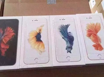 iPhone 6S׼ˣ һع