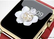 iPhone 6Sع ȫ¶ֽ̬ſ