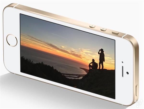 �����iPhone SE�������������壡