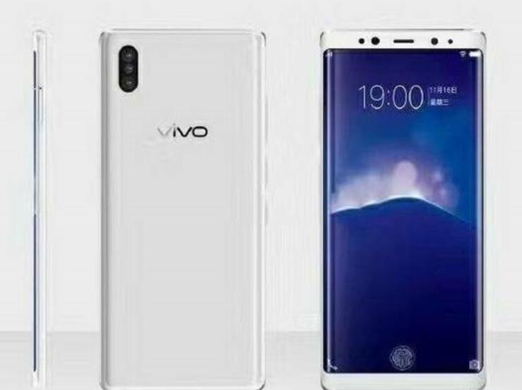 vivo.jpg