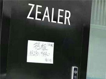 ZealerŶƳ־Σ ⣿