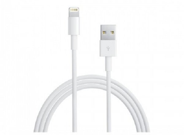 iPhone 6�þ�Lightning������ ������Ŀ���