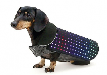 Disco DogſըLED