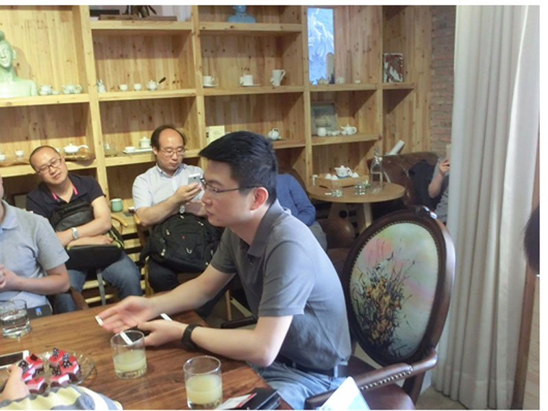 ivvi