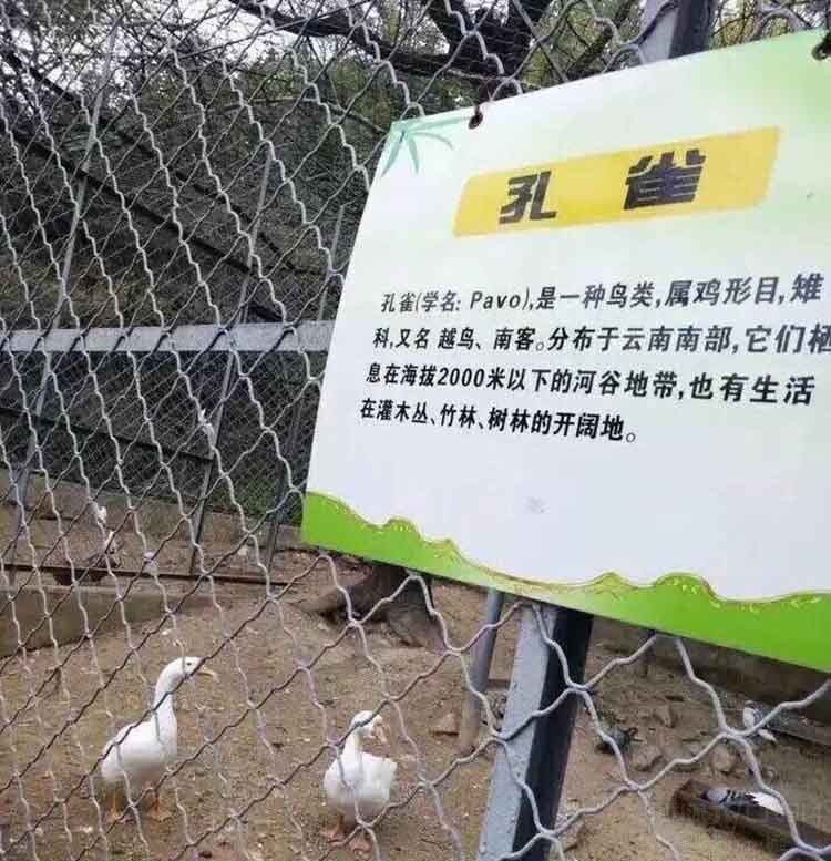 ϲ׾֮ Ͼ̫6